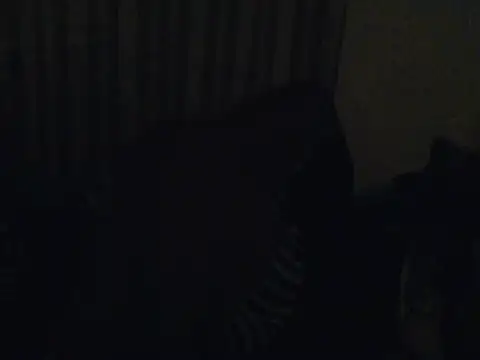tinystar webcam