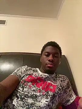 ThickDic28 webcam