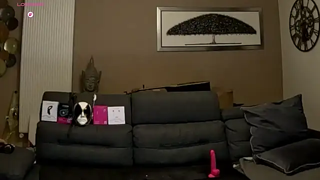 ApollonFit_x webcam