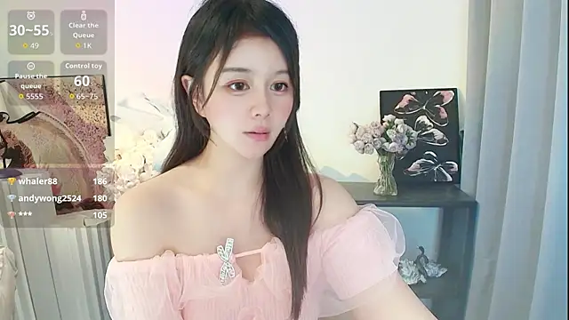 Moon-66 webcam