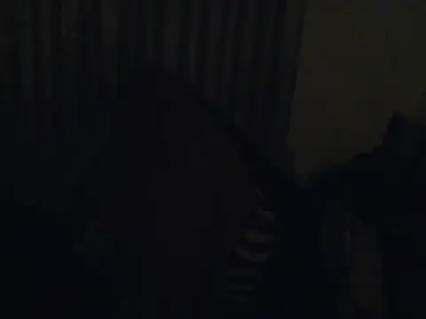 tinystar webcam