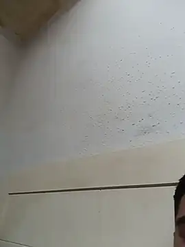 Soysincara12 webcam