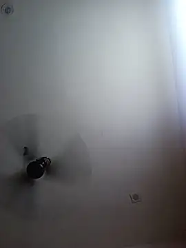 Meloni_71 webcam