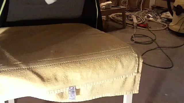 celsior45 webcam