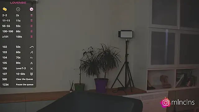 mel_collins webcam