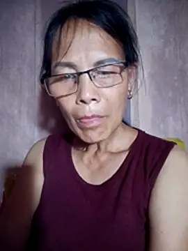 toyo_668 webcam