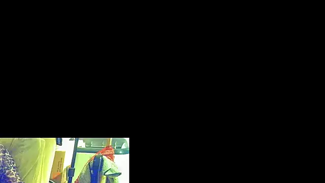 DoMeDoggyNow webcam