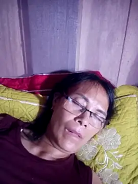 toyo_668 webcam
