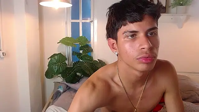 Jesve webcam