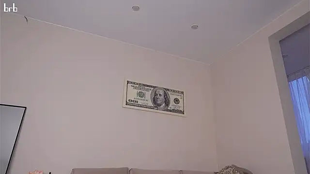 Appr0ved_ webcam