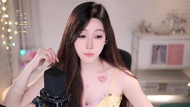 SleepArtist webcam