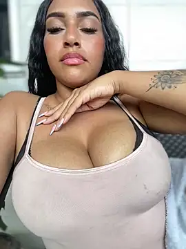 MaverickGray webcam