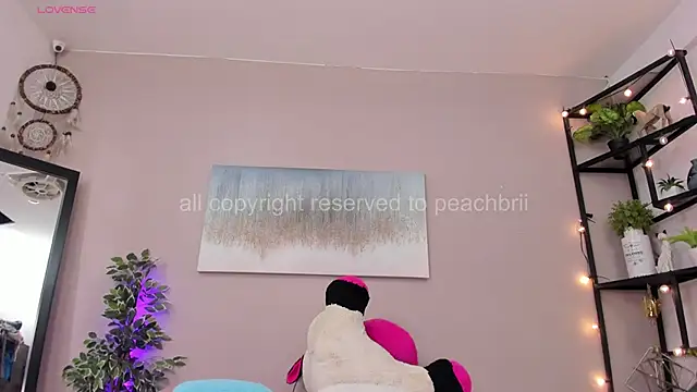 PechBri webcam