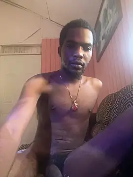 UNCUTKING10inch webcam