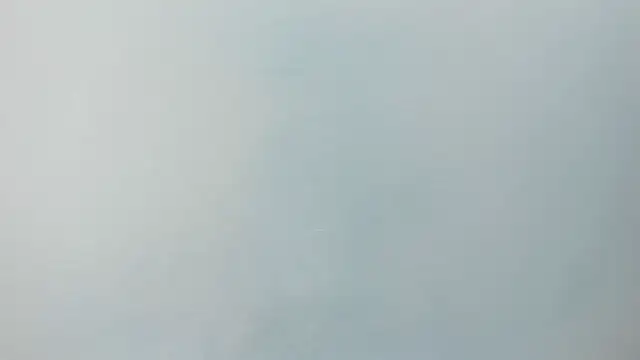 Charlie___Musk webcam