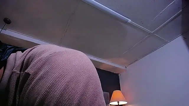 teddyfit19cm webcam