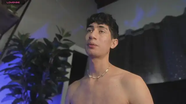 NovaaWheler webcam