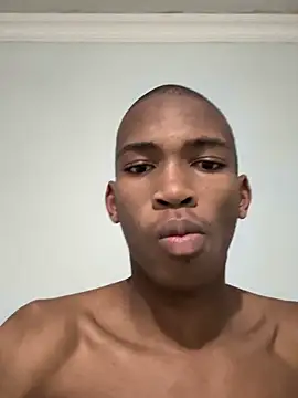 Sasinator webcam