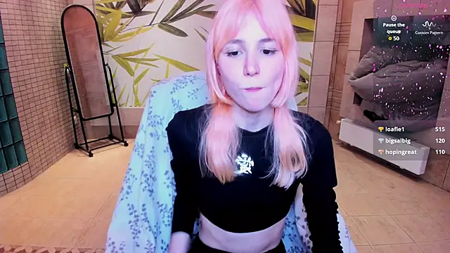 fleximona webcam