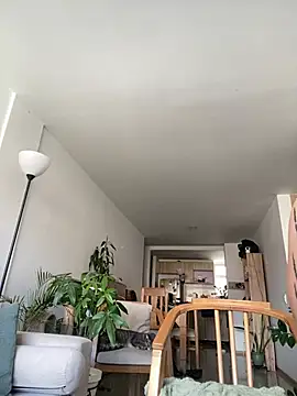 6nalanie webcam