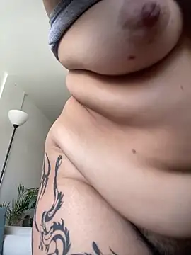 6nalanie webcam