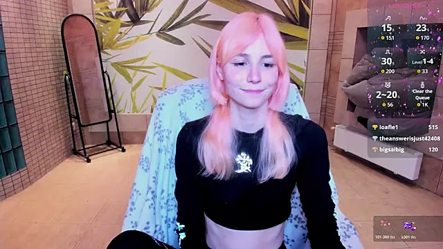 fleximona webcam