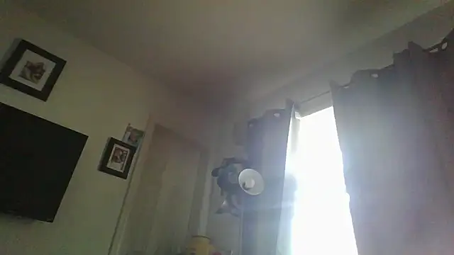 ajsin7 webcam
