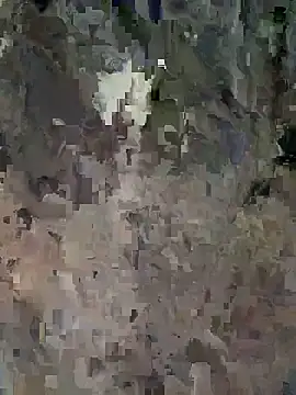 LuxeAura webcam