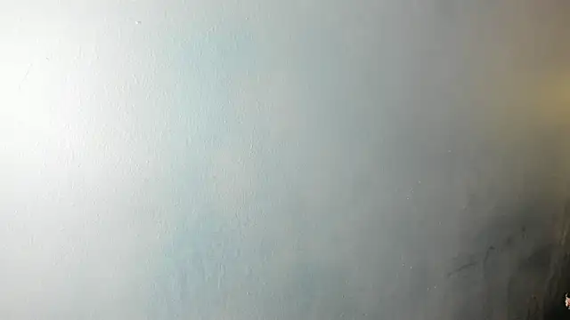 Charlie___Musk webcam