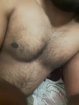 New-Chennaibull15 webcam