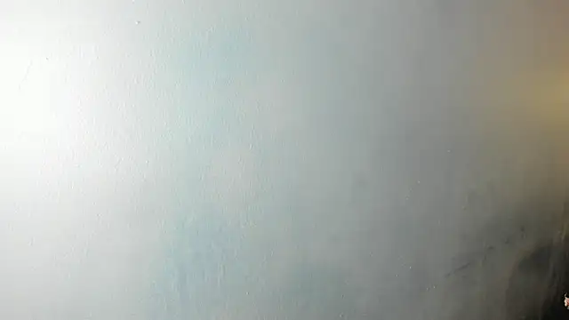 Charlie___Musk webcam