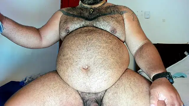 Bearspigdirty webcam
