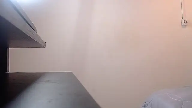 Jesve webcam