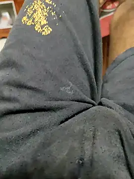 Bengali_BULL1 webcam