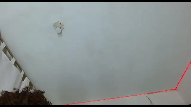 BBC_Black_ webcam