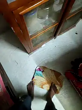 Bengali_BULL1 webcam