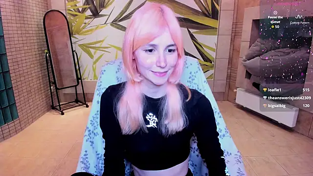 fleximona webcam