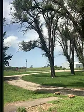 xxxtremlydirtyman webcam