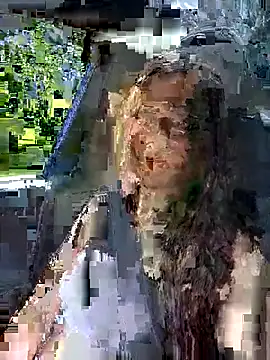 SophiaXJohn live cam