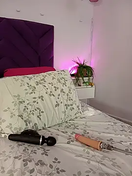 haileystone webcam