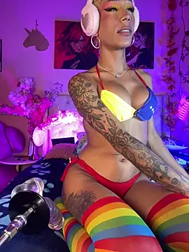 Naugth_channel_ts webcam