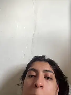 Misty-kat webcam