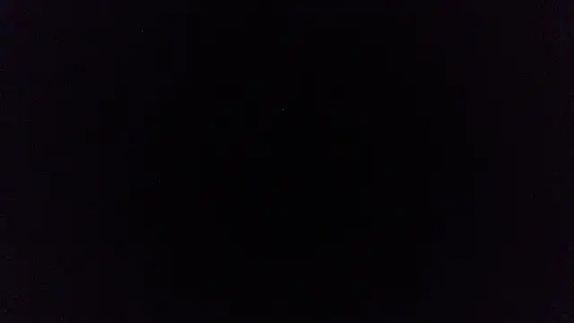 pinkycat webcam