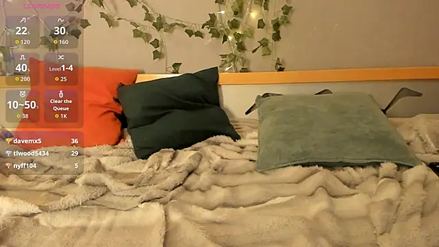 SolarFringe webcam