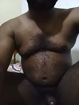Hiptonos webcam