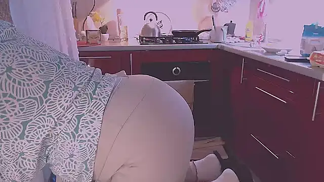 SoftLia webcam