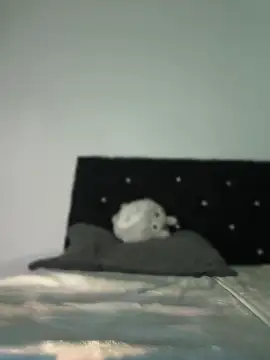 LorenRosse webcam