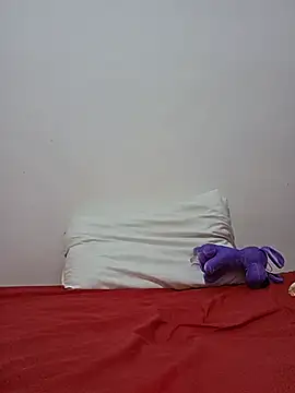altinya webcam