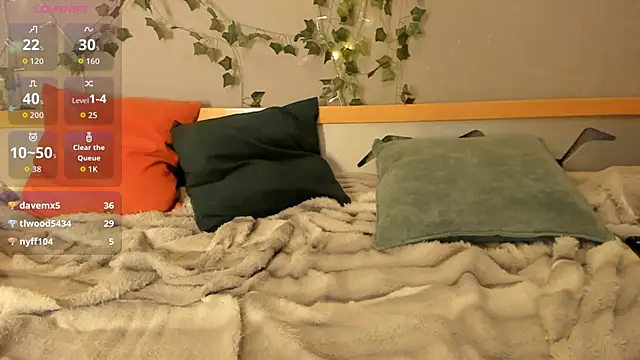 SolarFringe webcam