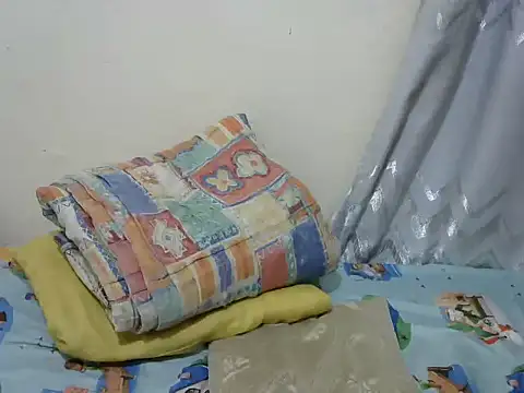 playfullnova webcam